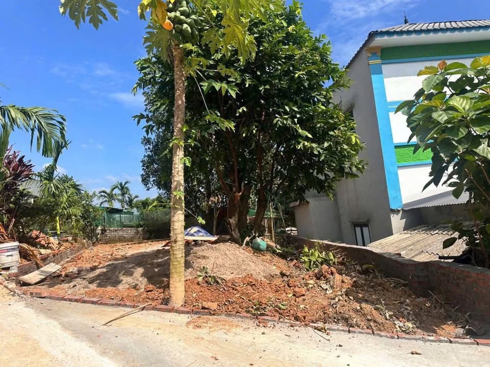 Đất thổ cư Tiến Xuân, Thạch Thất 150m² giá 2 tỷ - Gần trường quốc tế Maya!