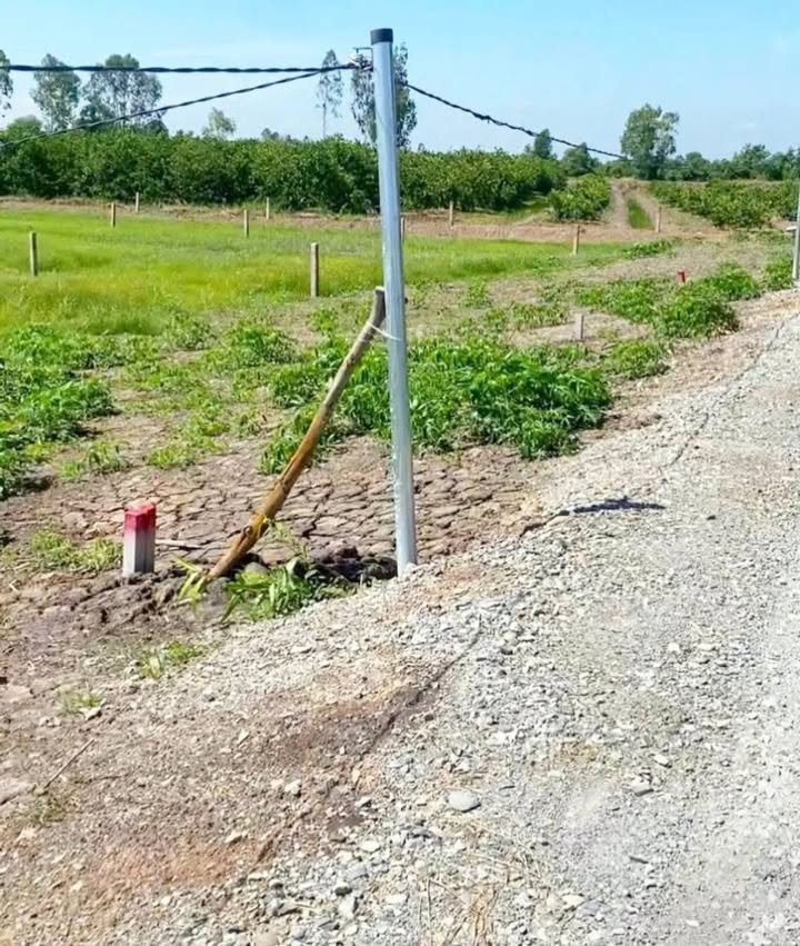 Đất vườn 500m² xã Bình Đức, Bến Lức - Giá chỉ 450 triệu, sổ hồng chính chủ!