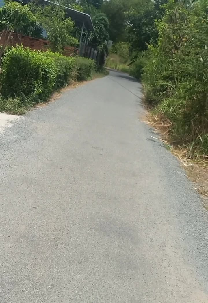 Đất nền Tân Xuân, Ba Tri 399m² giá 550 triệu - Đầu tư sinh lời ngay!