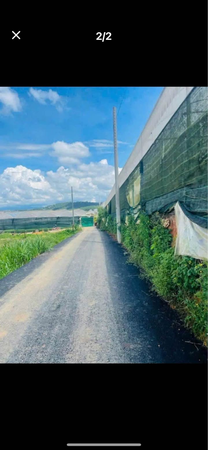 Đất thổ cư Thái Phiên, Đà Lạt 206m² giá 4.5 tỷ - Khu vực phát triển lý tưởng!