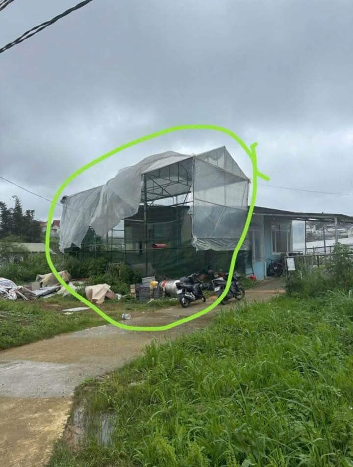 Lô đất Mai Anh Đào Đà Lạt 82m² giá 1,1 tỷ - Đường ô tô vào tận nơi!