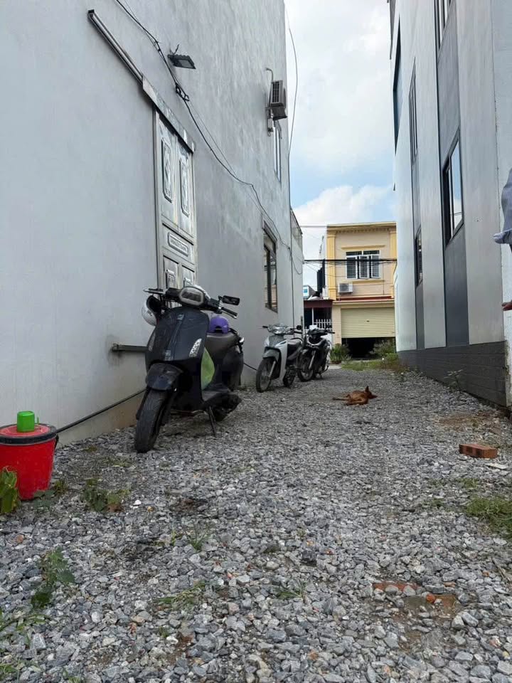 Đất nền Phù Liễn, Kiến An 42m² chỉ 1.59 tỷ - Sổ hồng chính chủ, không quy hoạch!