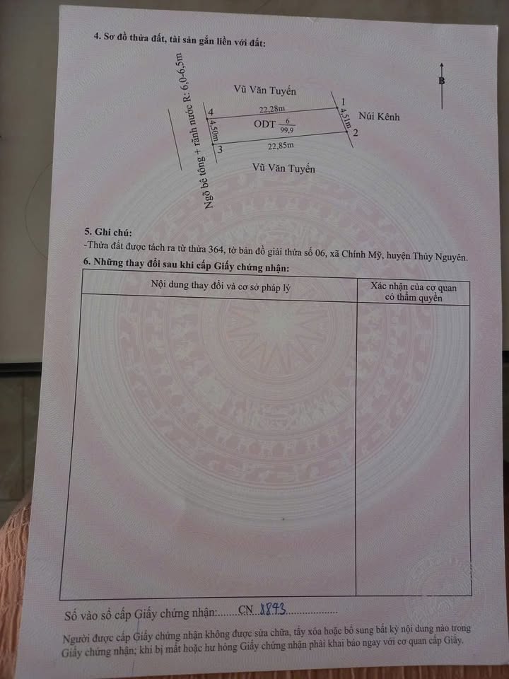 Đất Chính Mỹ - Thủy Nguyên 100m² giá 600 triệu - Sổ đỏ chính chủ, đầu tư sinh lời!