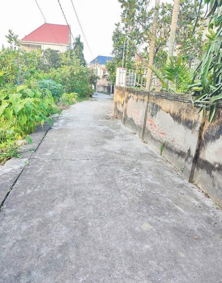 Đất thổ cư tại Quế Lâm, Thụy Hương, Kiến Thụy 142m² giá 1.8 tỷ - Cơ hội đầu tư hấp dẫn!