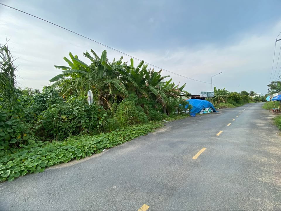 Đất thổ cư mặt tiền Hậu Tân Thạnh 110m² giá 1.7 tỷ - Cơ hội đầu tư tuyệt vời!