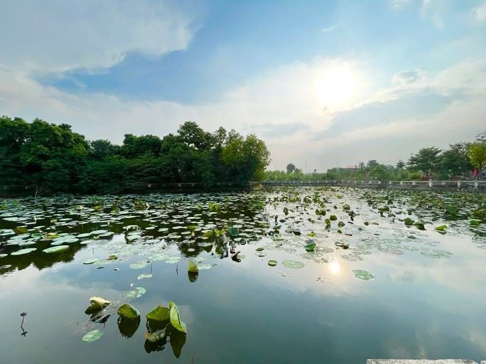 Đất Cự Đà, Gia Lâm 82.5m² giá 6.7 tỷ - Vị trí đắc địa, ô tô vào tận nơi!