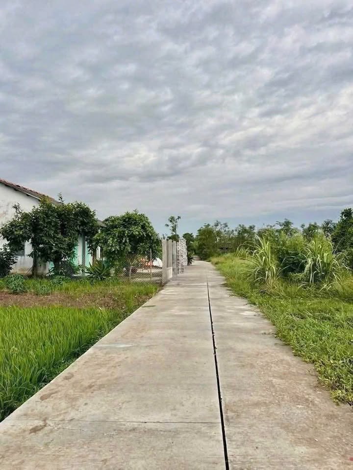 Đất nền Phường Long Thuận, Gò Công 130m² giá 370 triệu - Cơ hội đầu tư hấp dẫn!