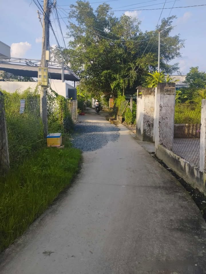 Đất nền xã Tân Tây, huyện Gò Công Đông 300m² giá chỉ 370 triệu - Cơ hội đầu tư hấp dẫn!