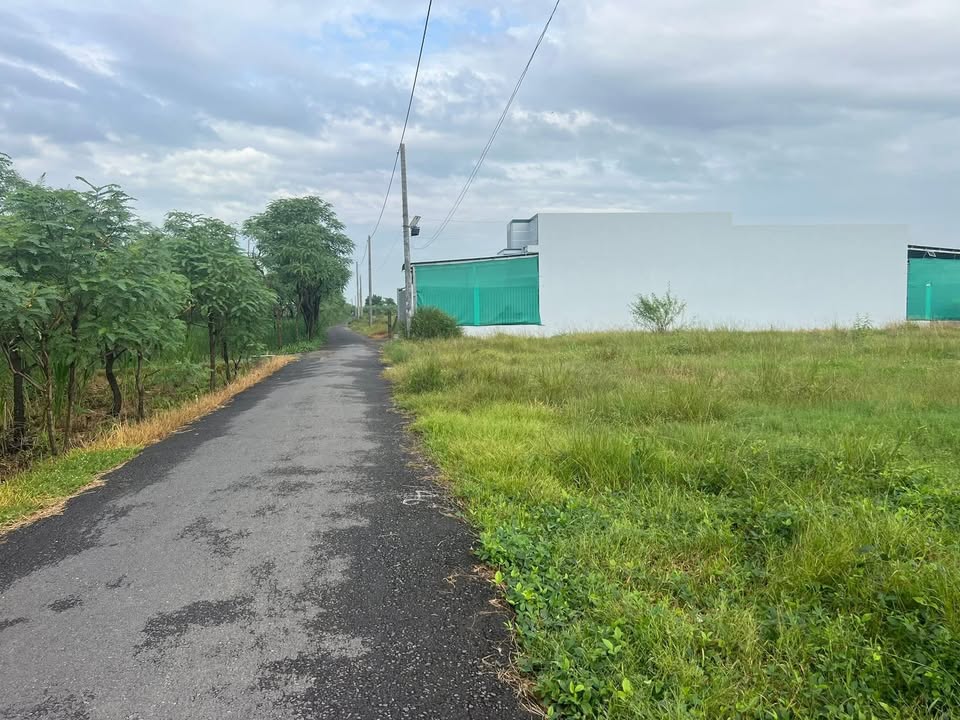 Đất nền 258m² Bình Nghị Gò Công Đông - Giá chỉ 440 triệu!