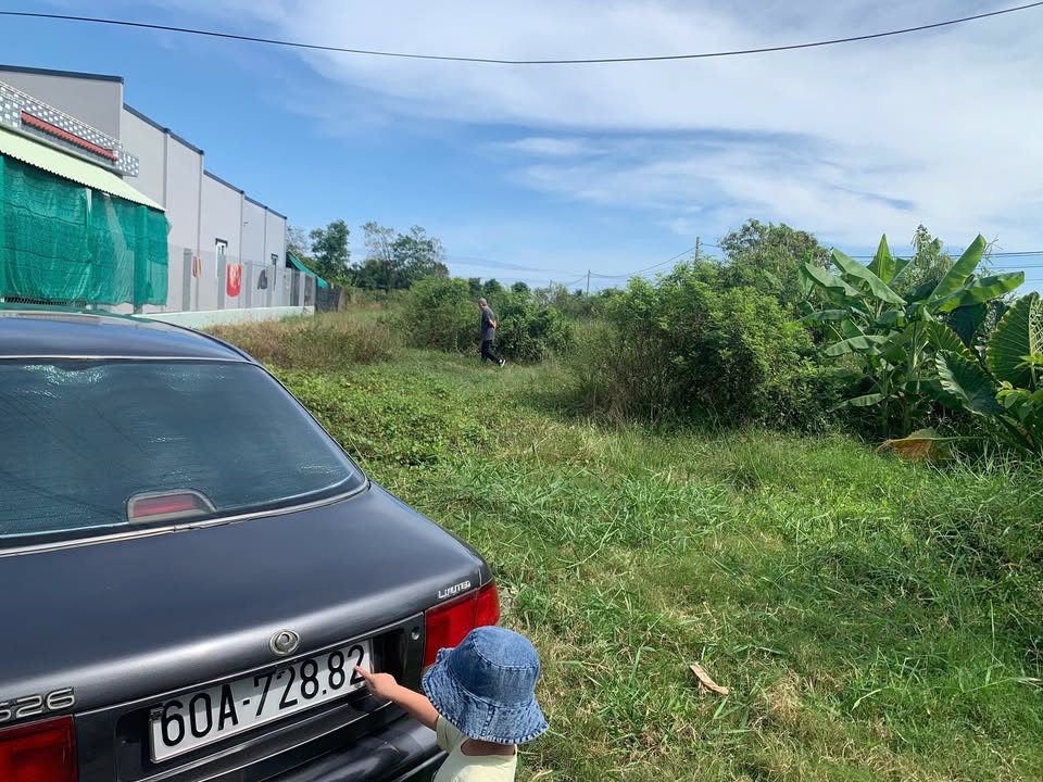 Đất nền liền kề 5x29m tại Bình Nghị, Gò Công Đông - Chỉ 250 triệu/nền!