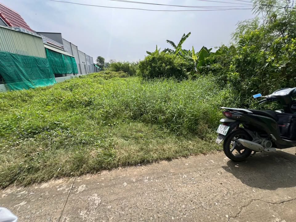 Đất nền Gò Công Đông 145m² giá chỉ 250 triệu - Cơ hội đầu tư không thể bỏ lỡ!