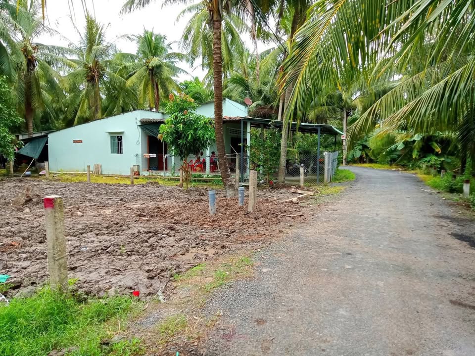 Đất nền 192m² tại Hòa Định, Chợ Gạo, Tiền Giang - Giá chỉ 420 triệu!