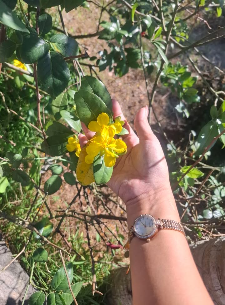 Đất nền Trung Lập Vĩnh Bảo 100m² giá 400 triệu - Đầu tư sinh lời ngay!