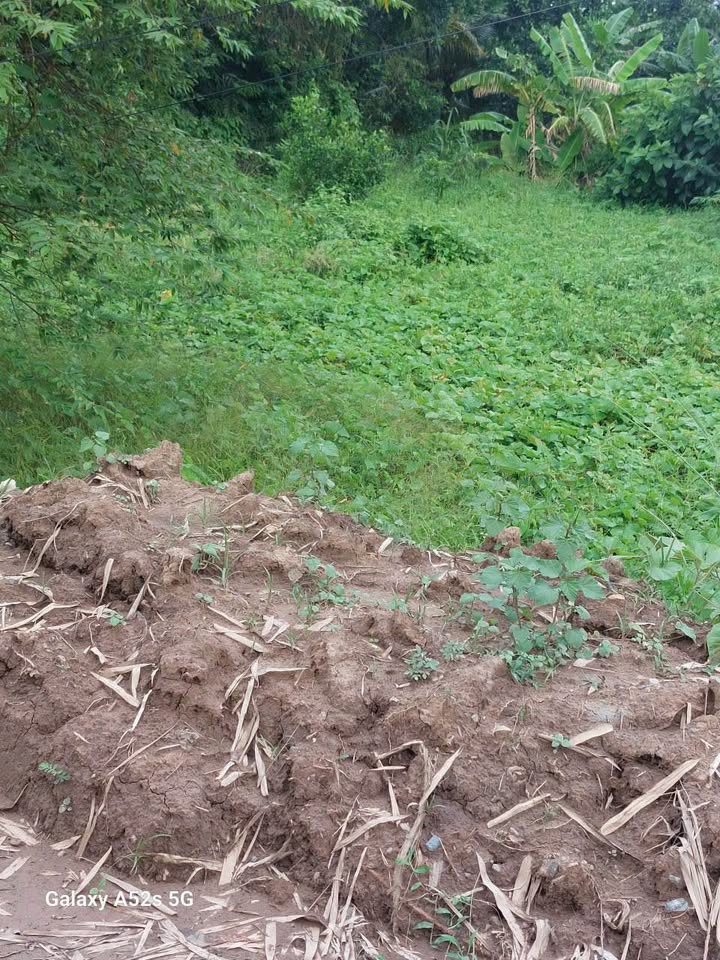 Đất nền thổ cư Nhơn Phú, Mang Thít 101m² giá 270 triệu - Đầu tư sinh lời ngay!