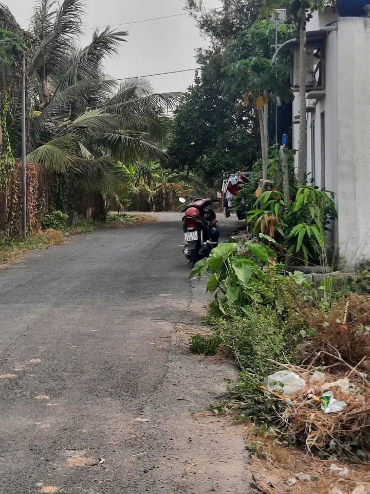 Đất nền mặt tiền nhựa xã Trung Lập Thượng 112m² giá 1.34 tỷ - Cơ hội đầu tư tuyệt vời!