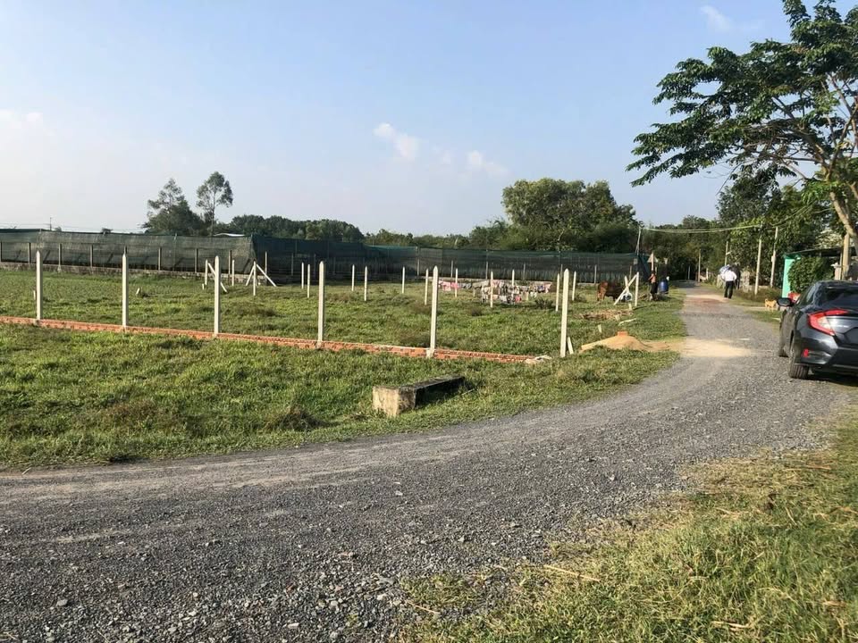 Đất thổ cư Tân An Hội 231m² giá 1 tỷ - Cơ hội đầu tư tuyệt vời!