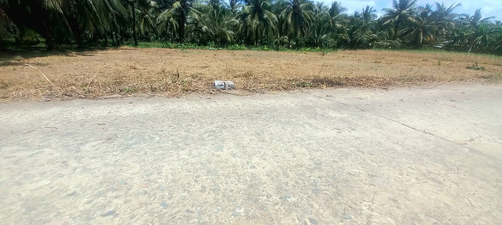 Đất nền 125m² tại Lương Hòa, Châu Thành, Trà Vinh - Giá chỉ 350 triệu - Sổ hồng chính chủ!