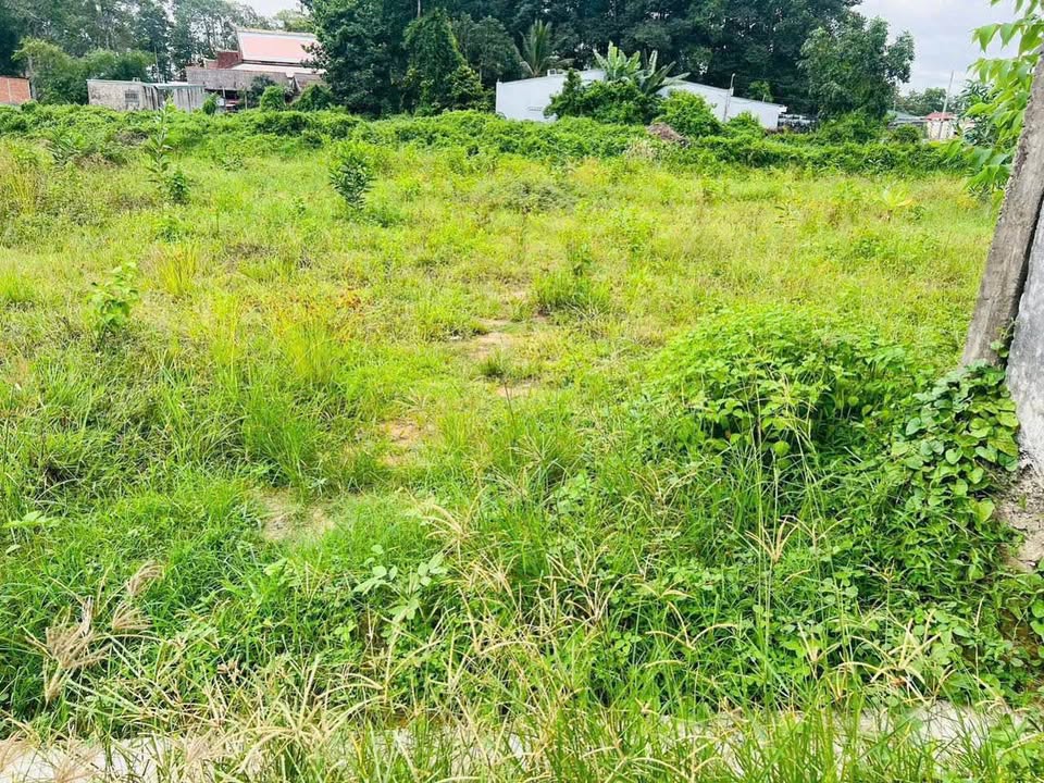 Đất nền 100m² tại đường Sơn Thông, Trà Vinh - Giá chỉ 550 triệu!