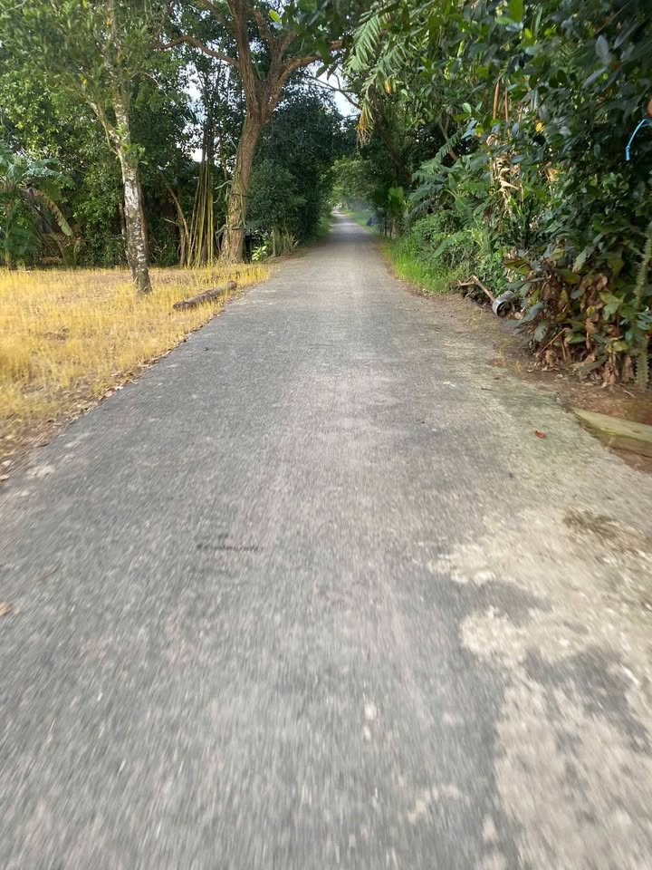 Đất mặt tiền đường bờ kênh Đa Lộc 7500m² giá 1.275 tỷ - Đầu tư sinh lời ngay!