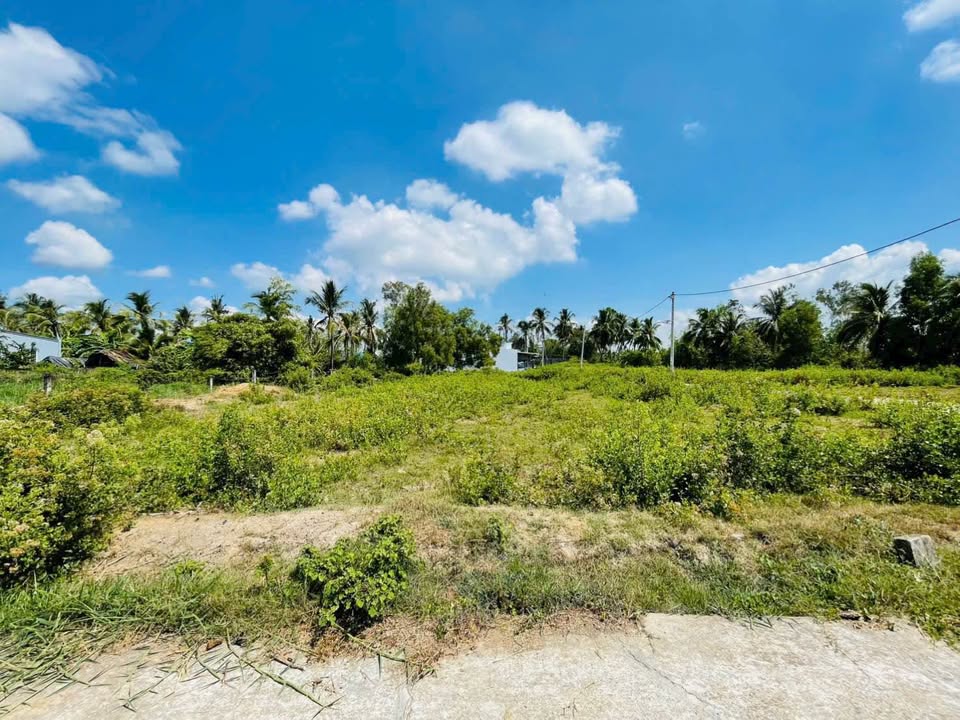 Đất nền Hẻm 233, Đường 30/4, Trà Vinh 156m² chỉ 599 triệu - Sổ đỏ chính chủ!