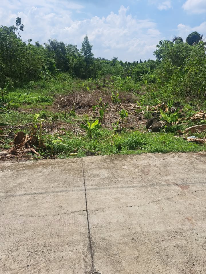 Đất thổ cư Vĩnh An 500m² giá 700 triệu - Mặt tiền bêtông, dân cư đông đúc!