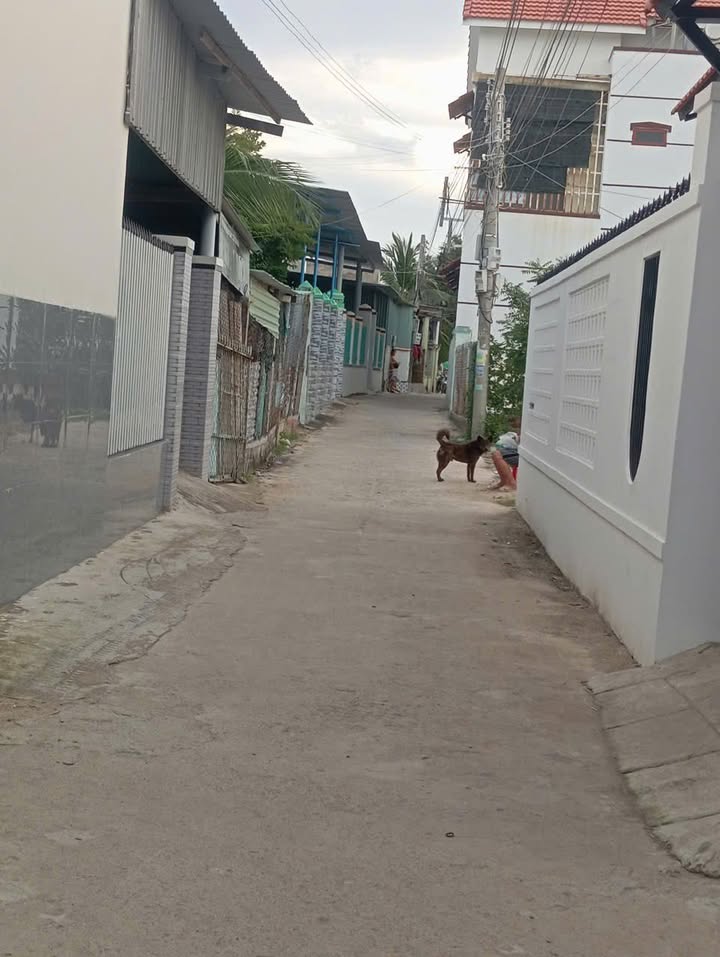 Đất nền Tri Hải Ninh Hải 115m² giá 600 triệu - Sổ hồng chính chủ, đường ô tô vào tận nơi!