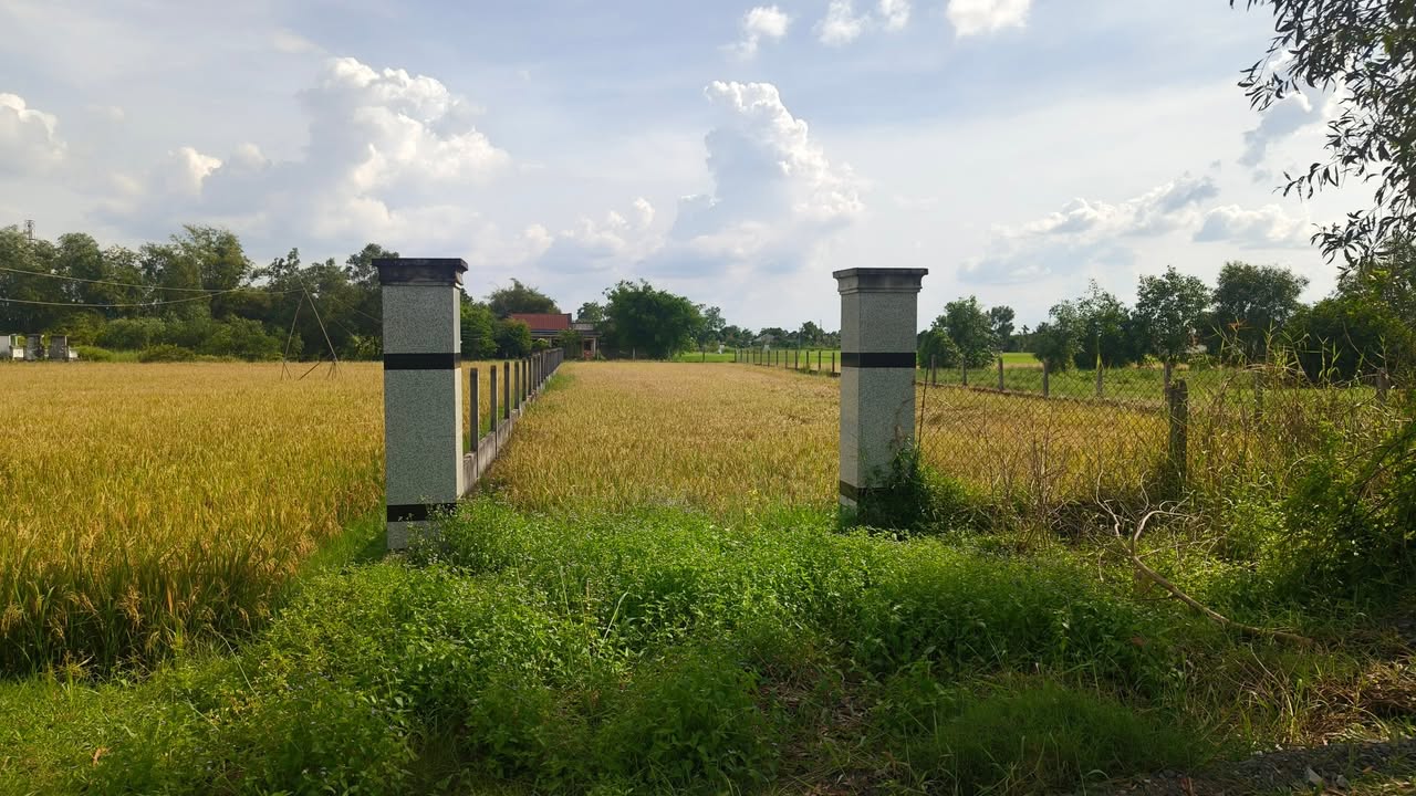 Đất nền Ấp Thuận Hòa 2, Hòa Khánh Nam, 1125m² giá 3.2 tỷ - Đầu tư sinh lời ngay!