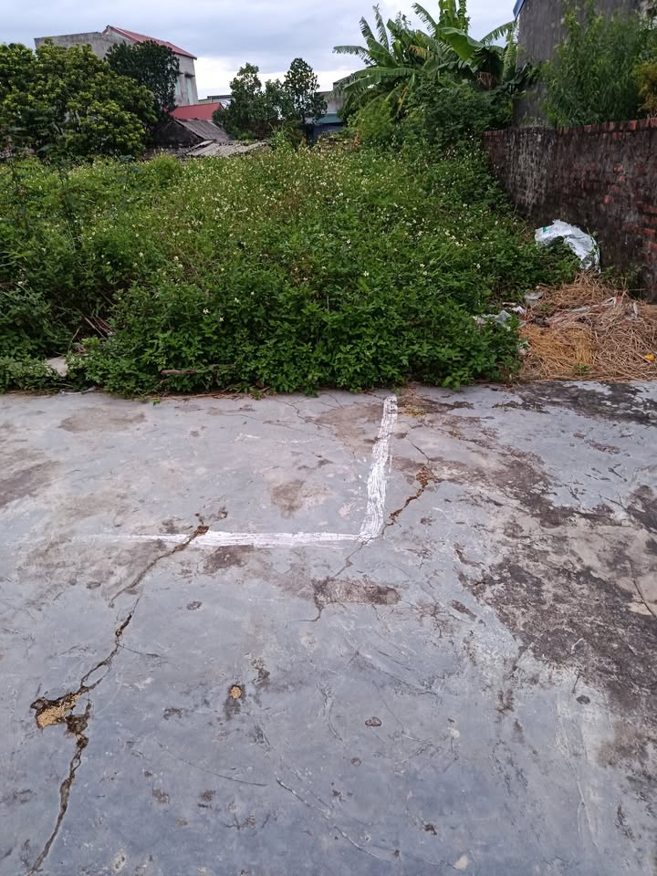 Đất Hưng Hà Thái Bình 90m² giá 500 triệu - Sổ đỏ chính chủ sẵn sàng sang tên!