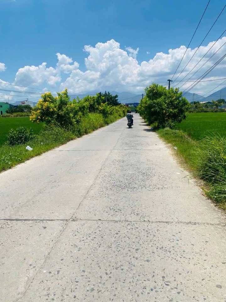 Đất ở xã Diên An - Diên Khánh 1600m² giá chỉ 4 tỷ - Cơ hội đầu tư tuyệt vời!