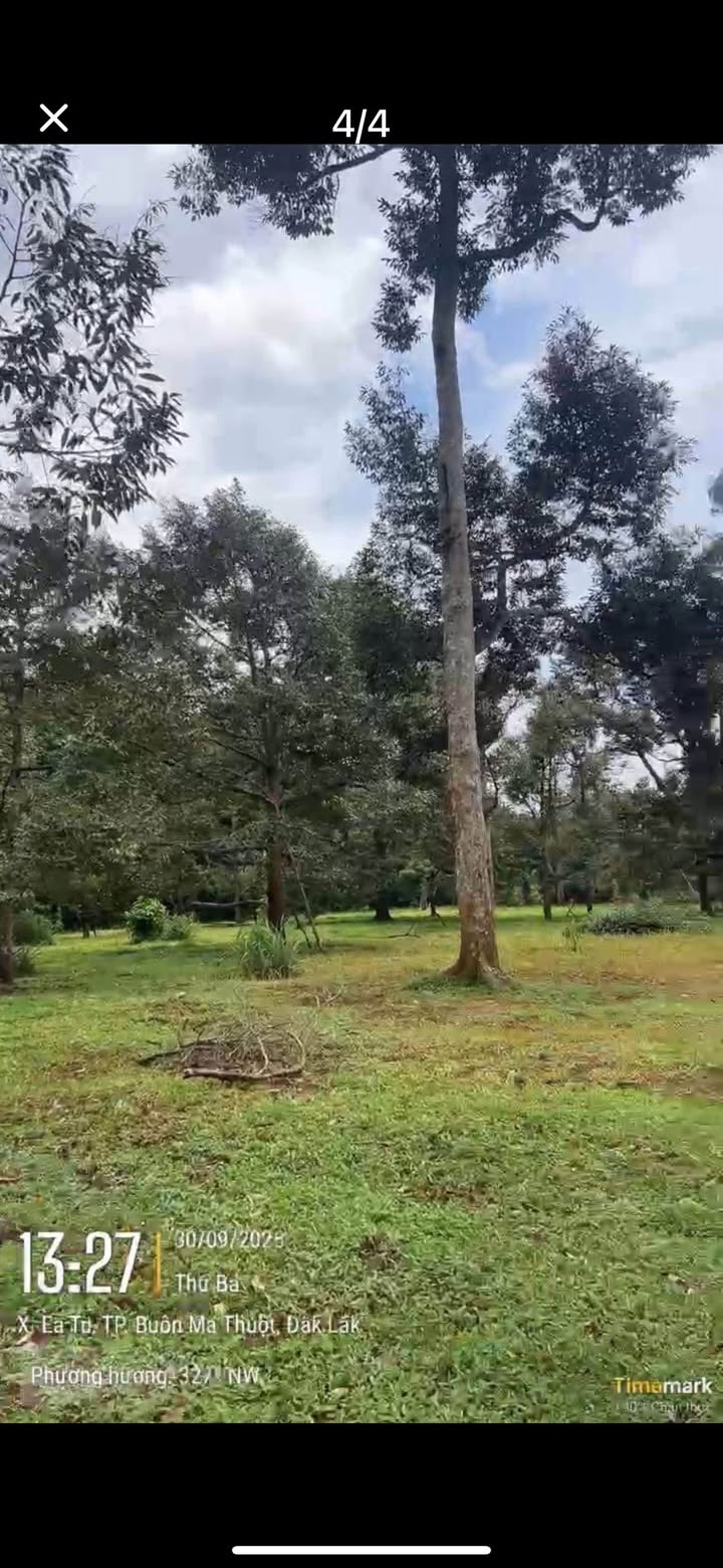 Đất nền đường Nguyễn Xuân Nguyên, Tân An, 500m² giá 600 triệu - Cơ hội đầu tư hấp dẫn!