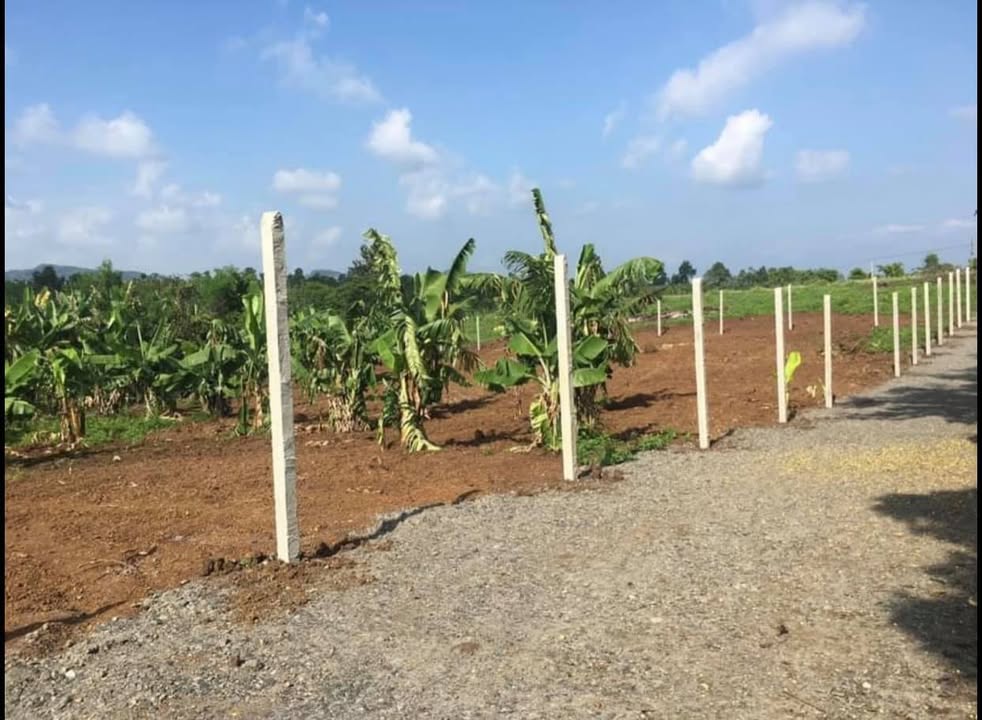 Đất nở hậu 600m² tại Thôn 4 Cư Bua - Buôn Ma Thuột chỉ 280 triệu - Cơ hội đầu tư tuyệt vời!