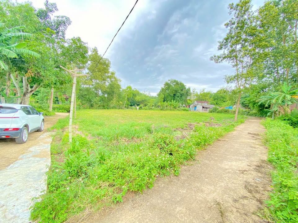 Đất nền Mỹ Hiệp, Phù Mỹ 700m² giá 300 triệu - Đầu tư sinh lời ngay!