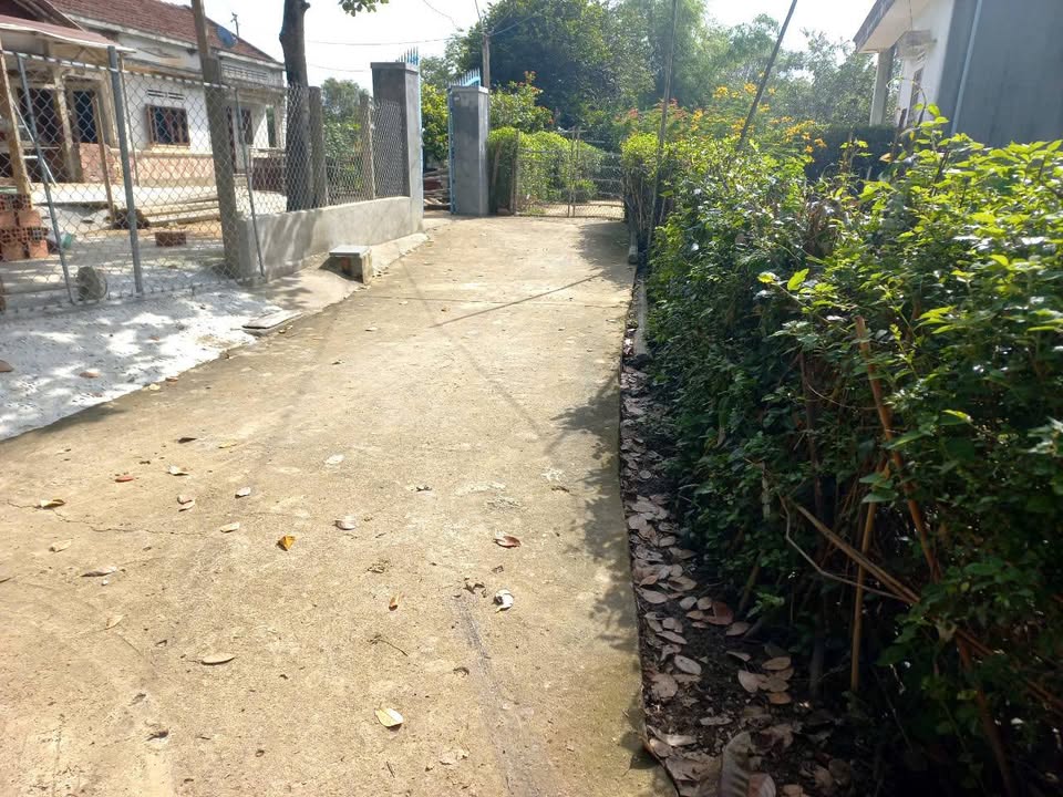 Đất ôm cua 2 mặt tiền Thôn Long Quang, 175m² giá 300 triệu - Đầu tư tiềm năng!