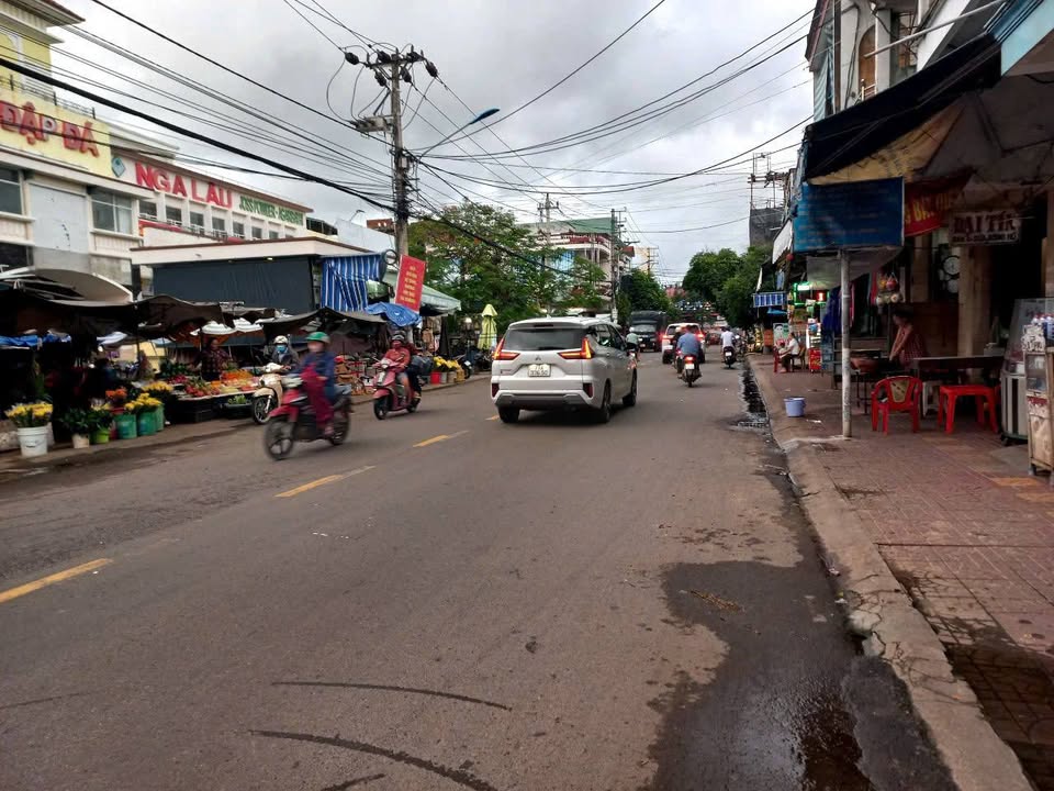 Đất vườn có nhà cấp 4 tại Thôn Thiết Tràng, An Nhơn, Bình Định - Diện tích 3.157m², giá thỏa thuận!