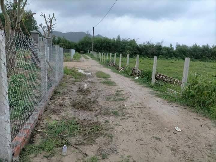 Đất vườn Phước Mỹ, Quy Nhơn 1700m² - Sổ hồng chính chủ, giá chỉ 600 triệu!