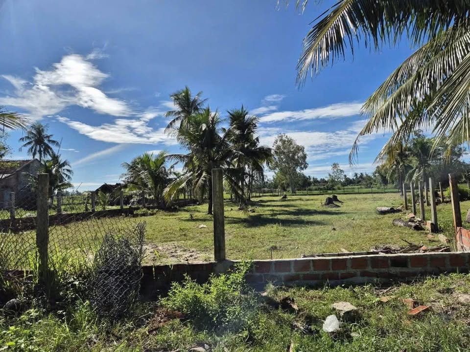 Đất nền Thôn Tân Hóa Nam, Cát Hanh, 1530m² giá chỉ 400 triệu - Cơ hội đầu tư tuyệt vời!