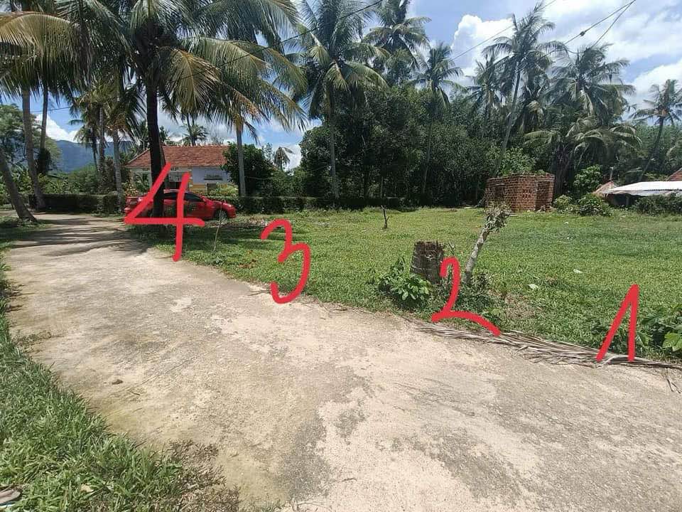 Đất nền Phù Mỹ Bình Định 175m² - Đầu tư sinh lời ngay!