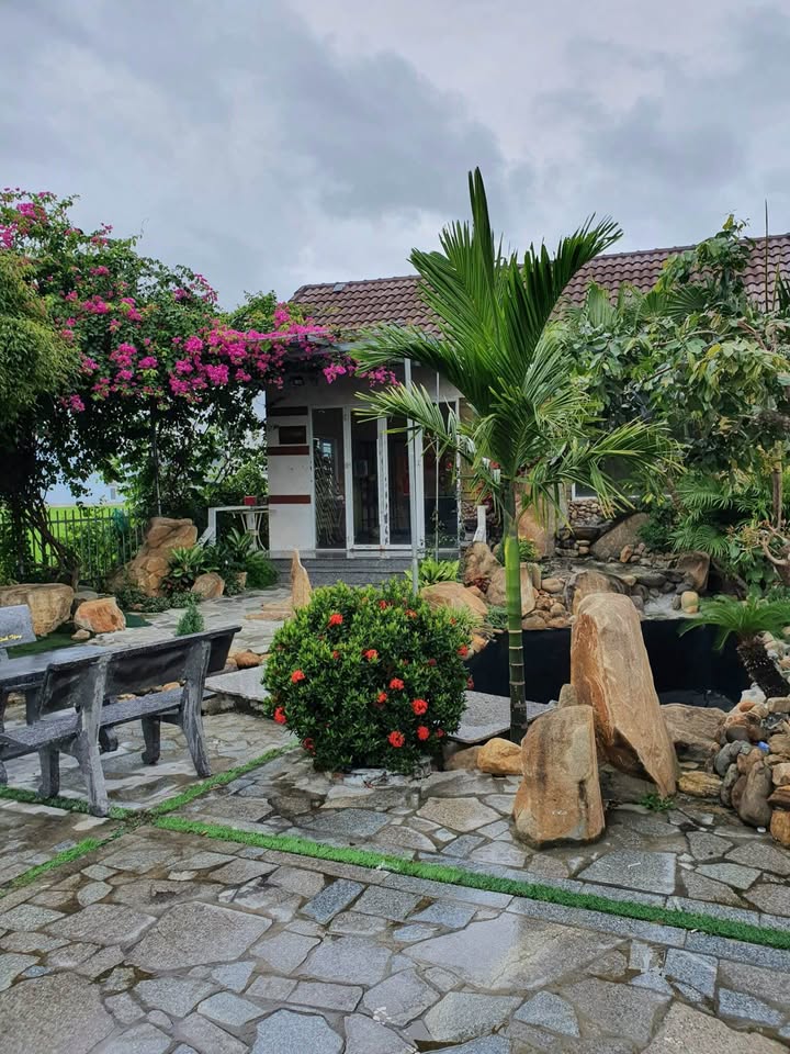 Sân bóng đá Phước Sơn Tuy Phước 3000m² - Doanh thu ổn định 40-55 triệu/tháng!