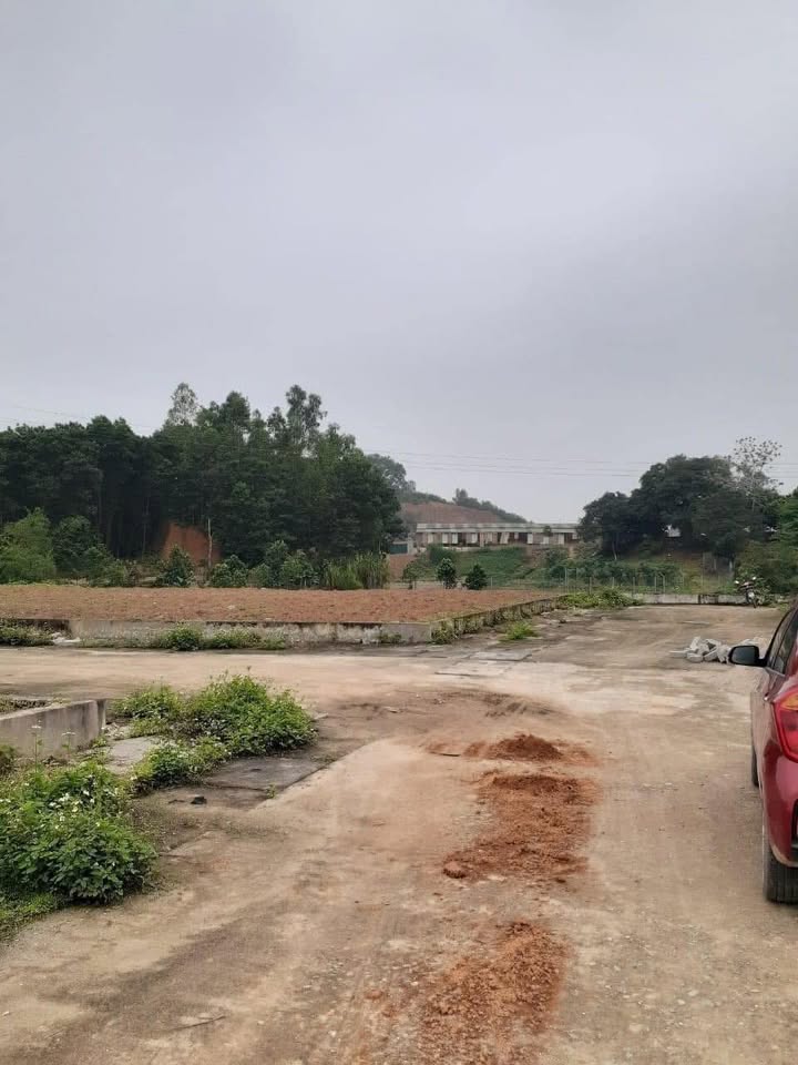 Đất nền chợ Hà Lộc, Phú Thọ 120m² - Tiềm năng đầu tư cao!