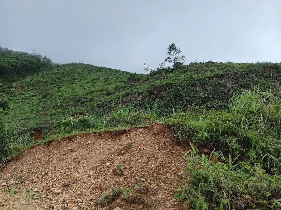 Đất Farm 10ha tại Thụ Ngạc, Tân Sơn, Phú Thọ giá 1 tỷ - Cơ hội đầu tư lý tưởng!