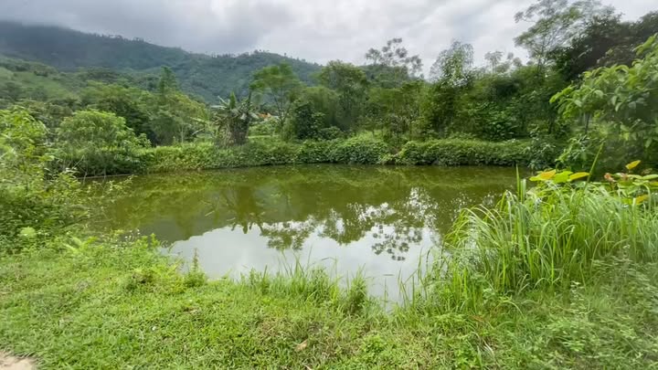 Đất nghỉ dưỡng Thượng Long, Yên Lập 3000m² giá 900 triệu - Đầu tư sinh lời lý tưởng!