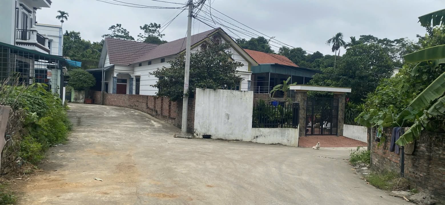 Đất nền Minh Phương, Việt Trì 84,2m² giá 2 tỷ - Đầu tư tiềm năng!