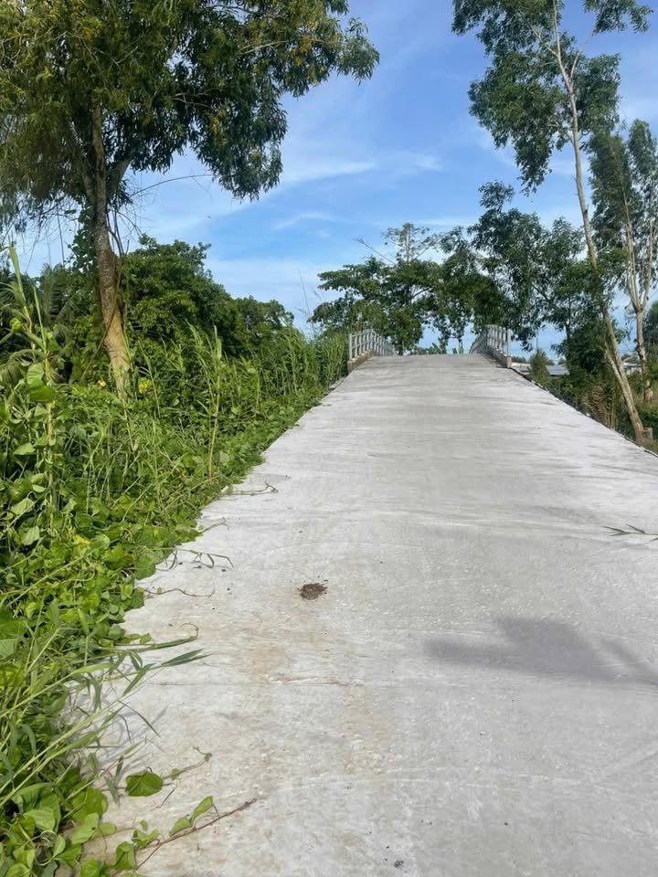 Đất nền 1000m² Đông Thuận, Thới Lai - Giá 200 triệu, đầu tư sinh lời ngay!