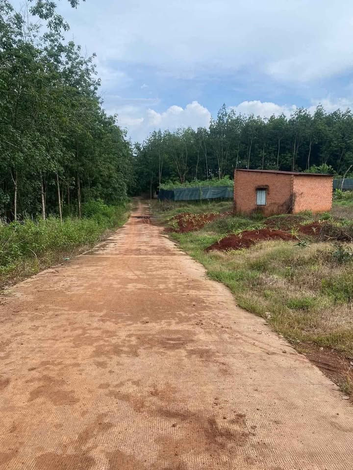 Đất Farm 20,000m² tại ấp Việt, xã Tân Lộc - Sổ đỏ chính chủ giá 3.2 tỷ