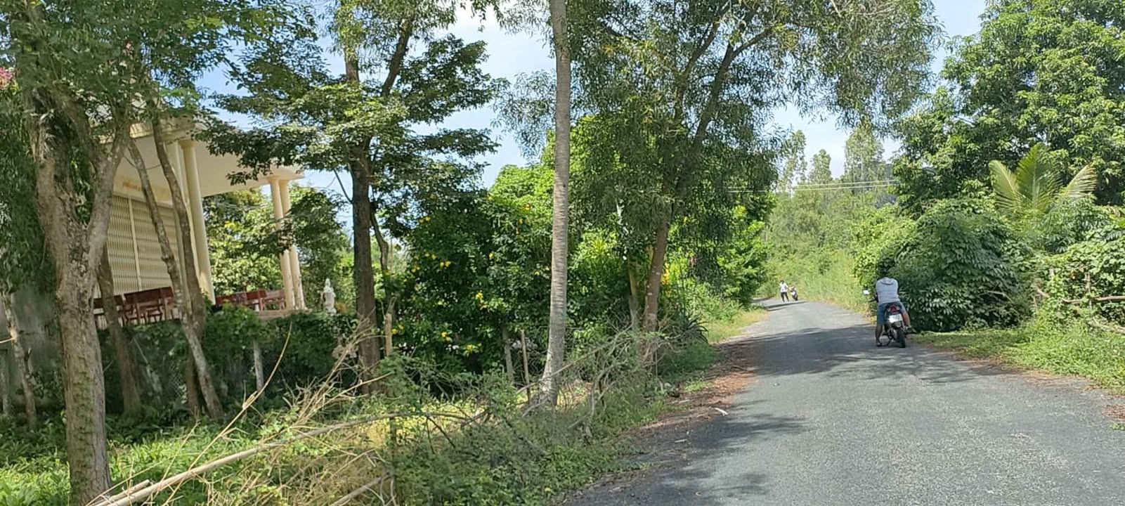 Đất thổ cư 100m² tại Đường Đong Phú Cường, Tịnh Biên, An Giang - Giá chỉ 370 triệu!