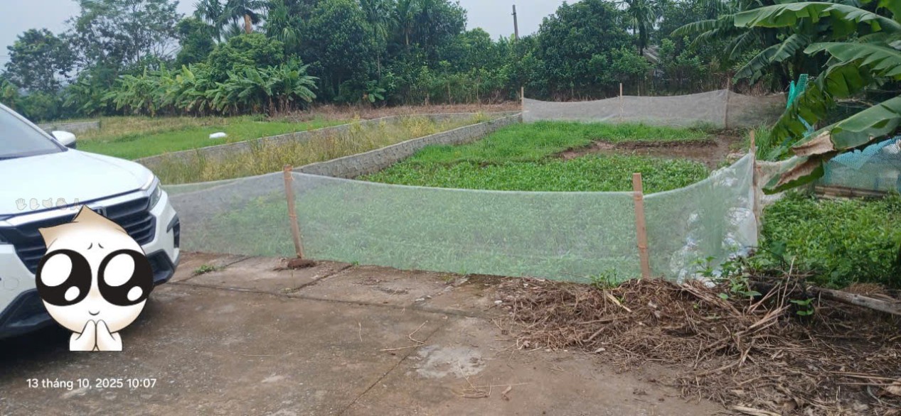 Đất đấu giá xã Vạn Tín, Mỹ Đức 100m² giá 1 tỷ - Cơ hội đầu tư lý tưởng!