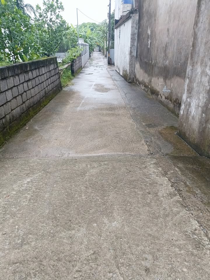 Đất nền Hương Sơn, Mỹ Đức 250m² giá thỏa thuận - Pháp lý rõ ràng, xây dựng tự do!