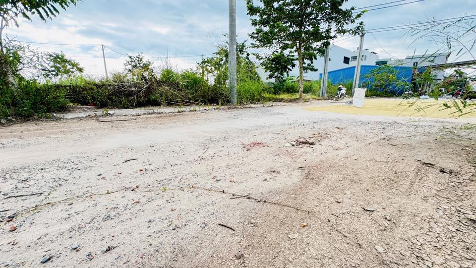 Đất đấu giá rặng sắn Thanh Oai 72m² giá chỉ 600 triệu - Cơ hội đầu tư tuyệt vời!