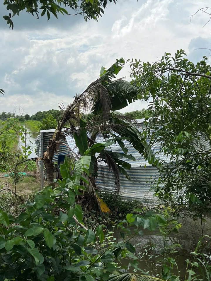 Đất nền 5 công phường Bình Minh, Vĩnh Long 4.75 tỷ - Gần chợ, vị trí đẹp!