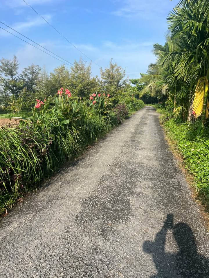 Lô đất Nhơn Phú, Mang Thít 150m² giá 320 triệu - Đường nhựa ô tô vào tận nơi!